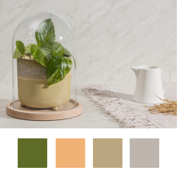 Zdjęcie produktowe - kompozycja z rośliną doniczkową i próbkami kolorów.